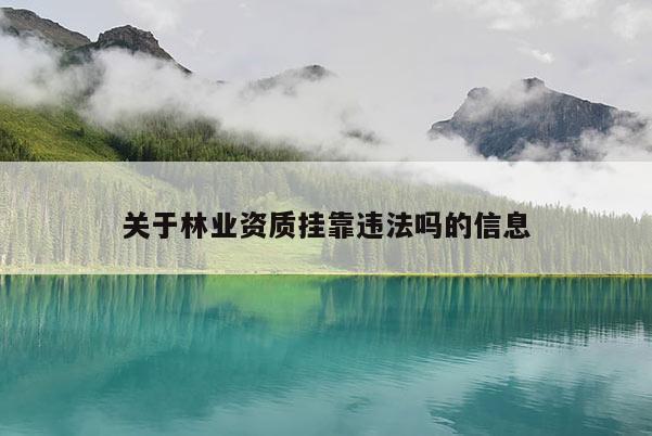 關(guān)于林業(yè)資質(zhì)掛靠違法嗎的信息